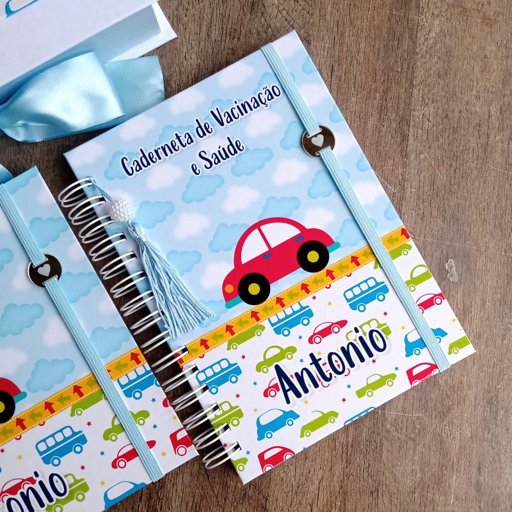 Kit Livro do Bebê, Caderneta de Vacina e Caixa Personalizada