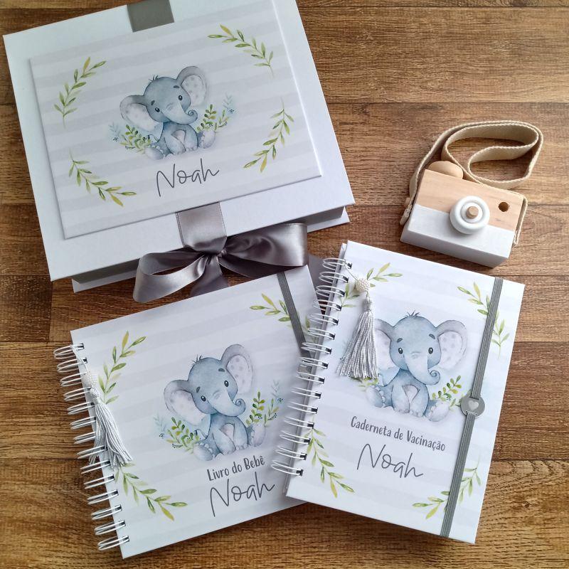 Kit Livro do Bebê e Caderneta de Vacinação com Caixa Personali