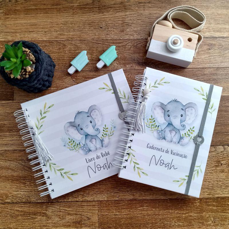 Kit Livro do Bebê e Caderneta de Vacinação com Caixa Personali