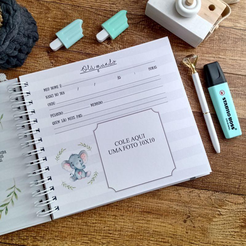 Kit Livro do Bebê e Caderneta de Vacinação com Caixa Personali