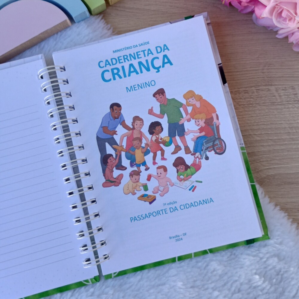 Kit Livro do Bebê e Caderneta de Vacinação com Caixa Personali