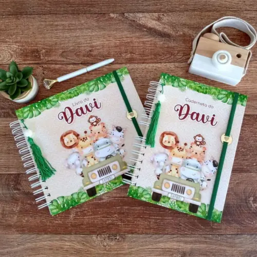 Kit Livro do Bebê, Caderneta de Vacina e Caixa Personalizada