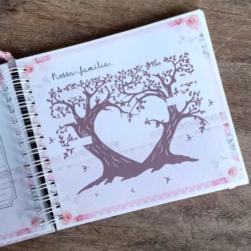 Kit Livro do Bebê, Caderneta de Vacina e Caixa Personalizada