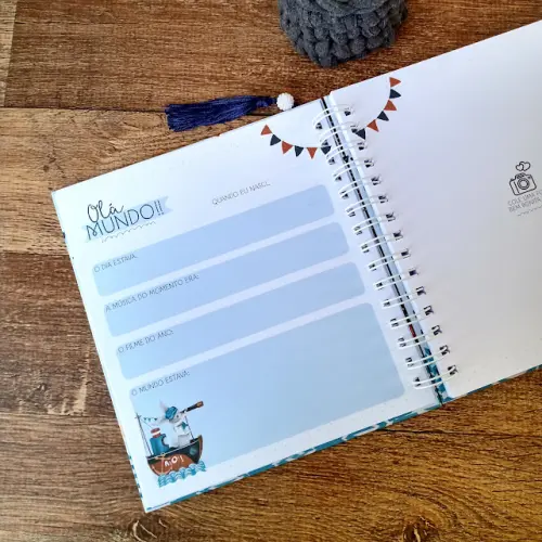 Kit Livro do Bebê, Caderneta de Vacina e Caixa Personalizada