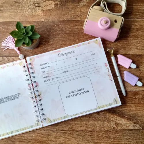 Kit Livro Do Bebê, Caderneta De Vacinação E Porta Documentos