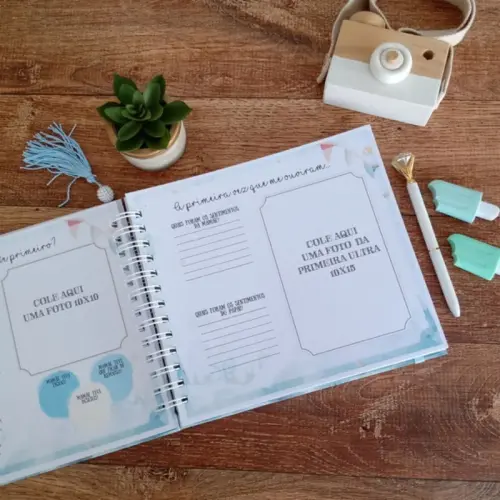 Kit Livro Do Bebê, Caderneta De Vacinação E Porta Documentos