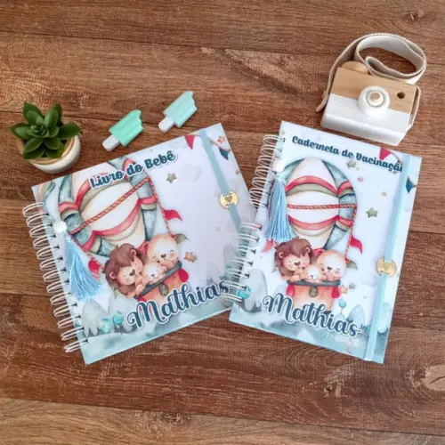 Kit Livro Do Bebê, Caderneta De Vacinação E Porta Documentos