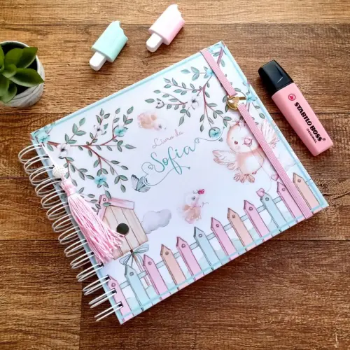 Kit Livro do Bebê, Caderneta de Vacina e Caixa Personalizada