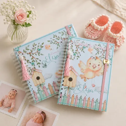 Kit Livro do Bebê, Caderneta de Vacina e Caixa Personalizada
