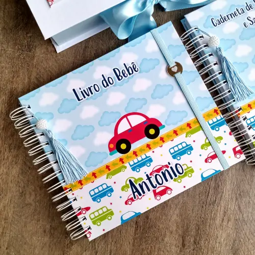 Kit Livro do Bebê, Caderneta de Vacina e Caixa Personalizada