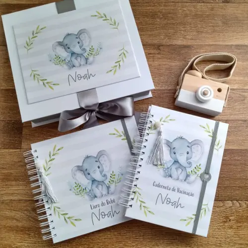 Kit Livro do Bebê, Caderneta de Vacina e Caixa Personalizada