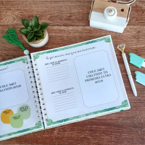 Kit Livro do Bebê e Caderneta de Vacinação e Saúde Safari