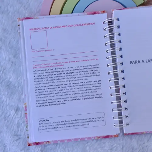 Kit Livro do Bebê e Caderneta de Vacinação e Saúde Jardim Enc