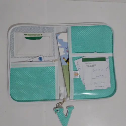 Porta Carteira De Vacina Ursinho Aviador Com Ziper