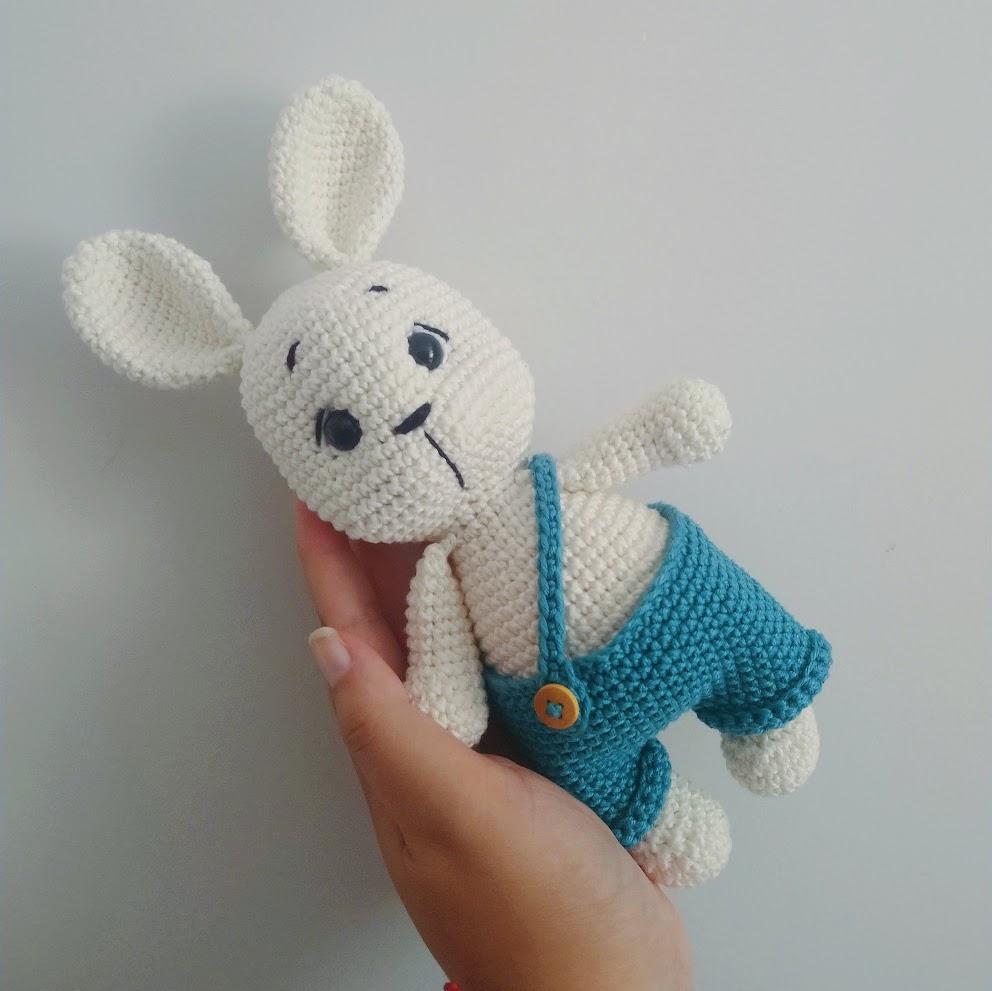 Coelho de Roupa Azul