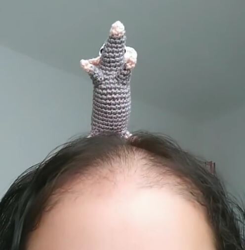 Tiara do Remy do Ratatouille