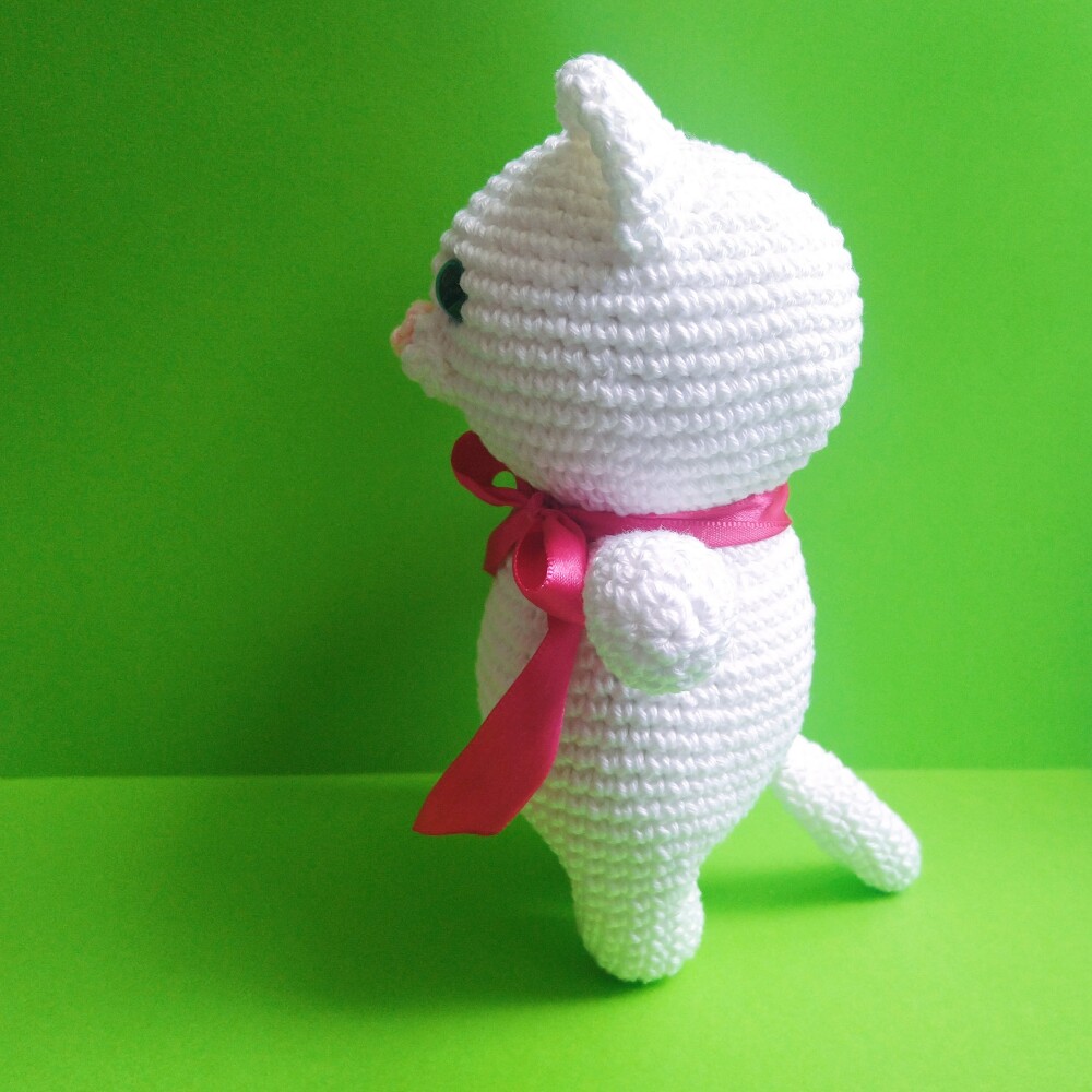 Gato Branco Gordinho
