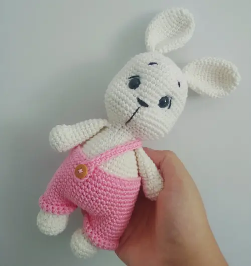 Coelho de Roupa Rosa