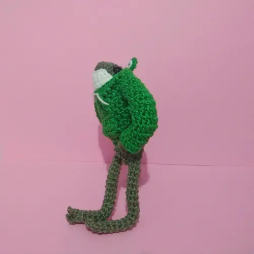 Sapo de Casaco de Sapo