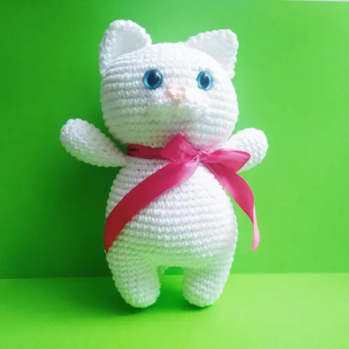 Gato Branco Gordinho