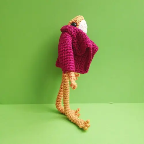 Sapo Amarelo de Jaqueta