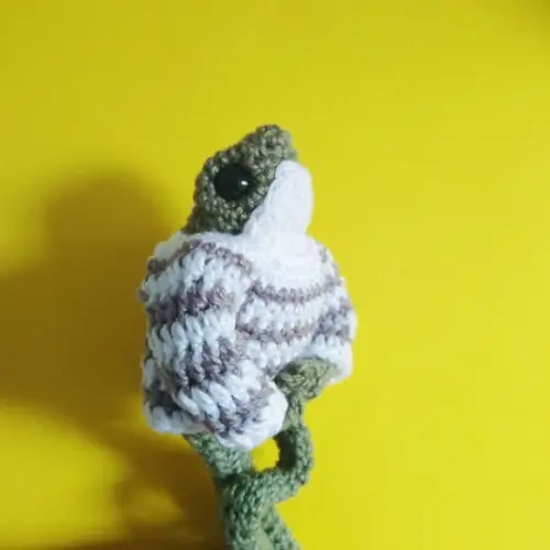 Sapo de Suéter