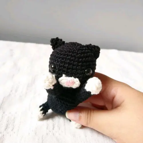 Gatinho Brincando Preto Com Branco