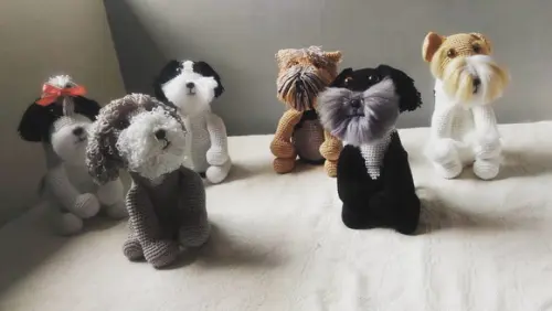 Cachorro (reprodução)