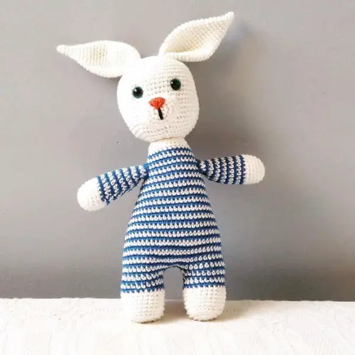 Roy o Coelho de Pijama