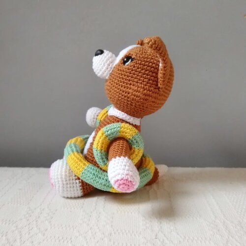 Corgi Lancelot Com Boias