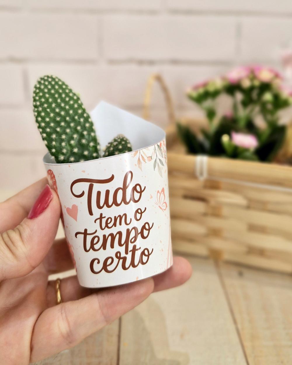 Rótulo Suculenta Mensagens Religiosas - Arquivo Digital