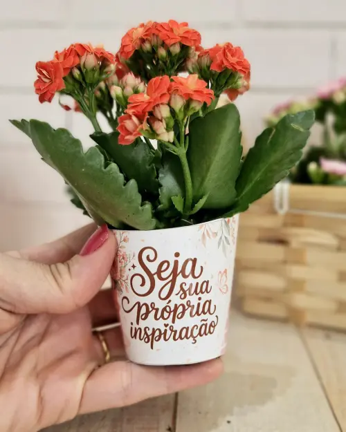 Rótulo Suculenta Mensagens Religiosas - Arquivo Digital