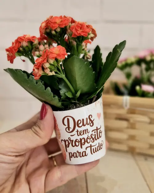 Rótulo Suculenta Mensagens Religiosas - Arquivo Digital