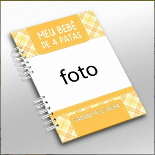 Caderneta Vacina e Registros Momentos - Sem Personalização