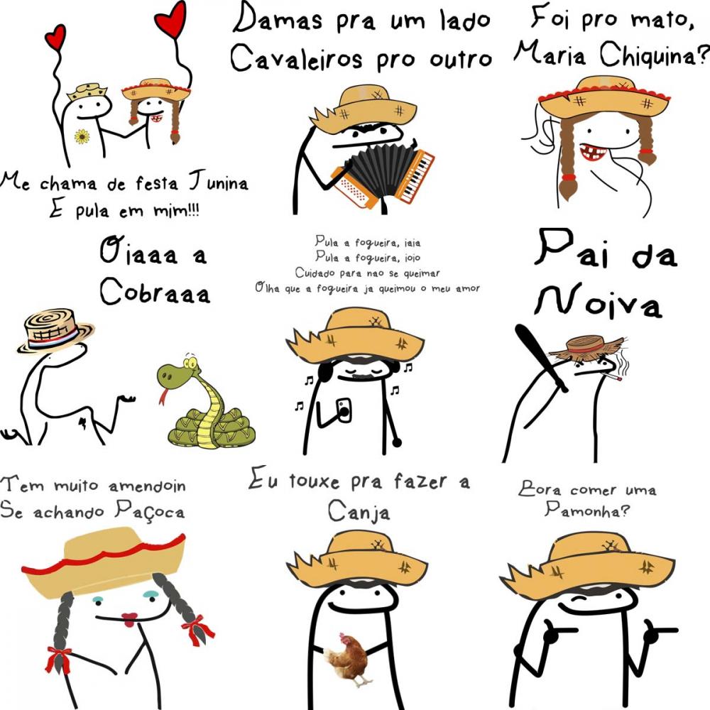 Pack 20 Artes Flork Festa Junina Sublimação Camisetas