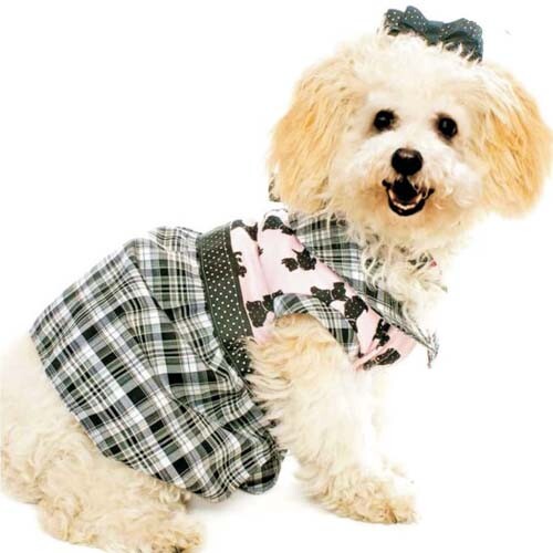 Pack 100 Modelagens Pet Cães Gatos Moldes Roupinhas