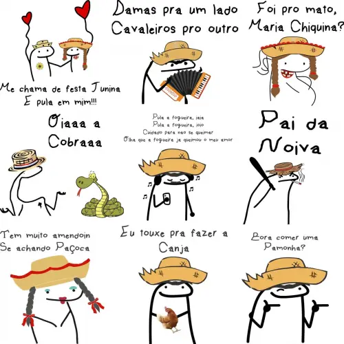 Pack 20 Artes Flork Festa Junina Sublimação Camisetas
