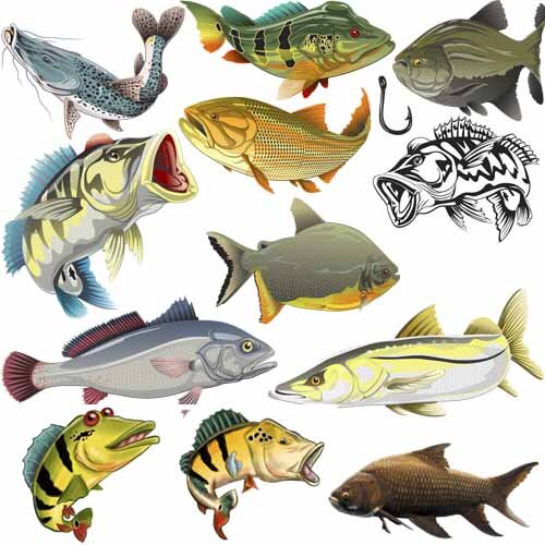 Pack Artes Camisetas Pesca Esportiva Pescaria 120 Estampas