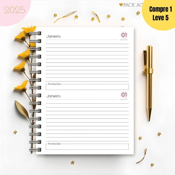 Arquivo Digital Agendas Femininas 2025 - 383