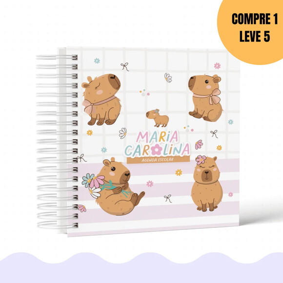 Arquivo Digital Capivara Volta às Aulas 2026 -6175