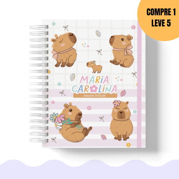 Arquivo Digital Capivara Volta às Aulas 2026 -6175
