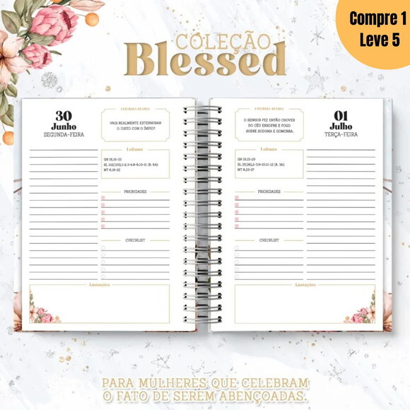 Arquivo Digital Coleção Blessed Completa 2025 -936