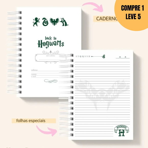 Arquivo Digital Coleção Harry Potter Vol.2 Sonserina -2226
