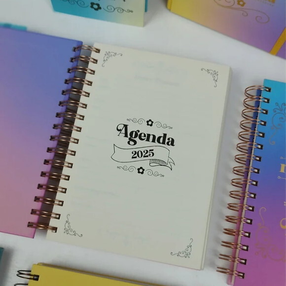 Arquivo Digital Combo Agenda e Planner 2025 -652
