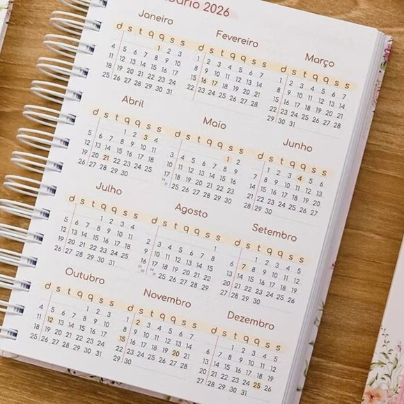 Arquivo Digital Combo Agendamentos 2026 -5078