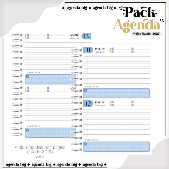 Arquivo Digital Combo Agendas Universitárias 2025 - 254