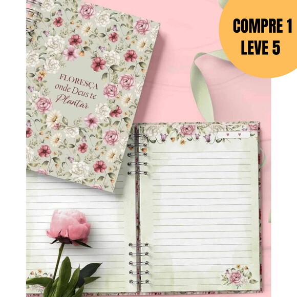 Arquivo Digital Kit 5 Capas e 5 Miolos Pautado -5496