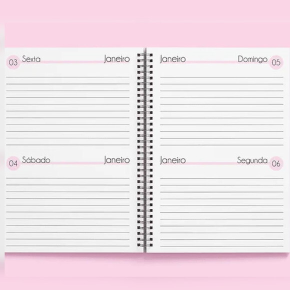 Arquivo Digital Miolo Rosa Agenda 2025 -391