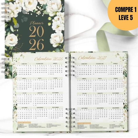Arquivo Digital Planner 2026 Coleção Rosas Brancas -5865