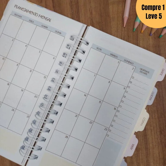 Arquivo Digital Planner Collors 2025 -894